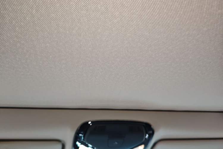 Used BMW 4 Series 2021 425i M Sport Package Headliner