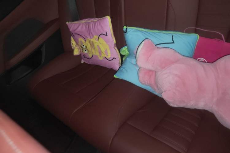 Used BMW 4 Series 2021 425i M Sport Night Edition Left Rear Seat
