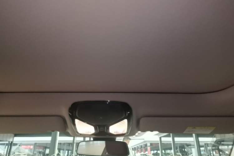 Used BMW 4 Series 2022 425i M Sport Package Headliner