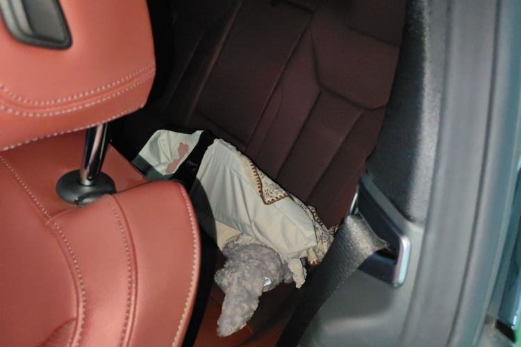 Used BMW 4 Series 2022 430i M Sport Night Edition Package Left Rear Seat