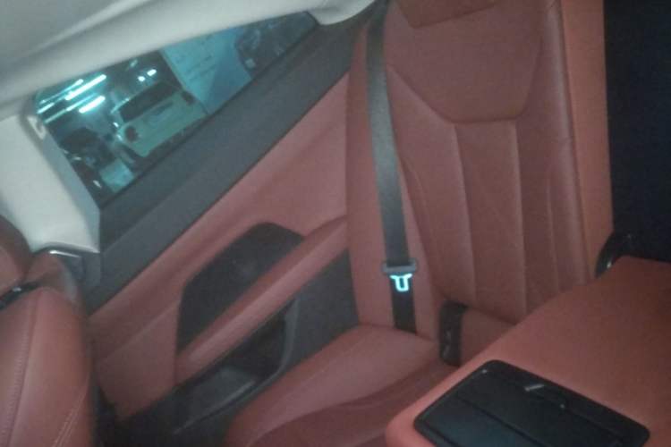 Used BMW 4 Series 2022 425i M Sport Package Left Rear Door Interior