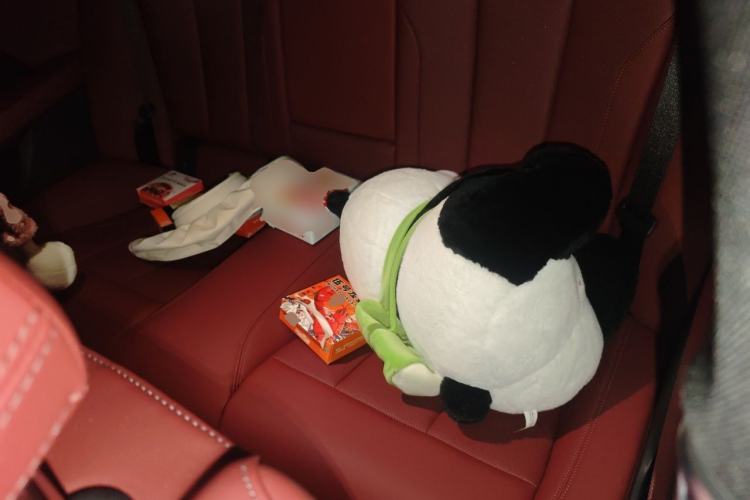 Used BMW 4 Series 2023 425i M Sport Night Edition Left Rear Seat
