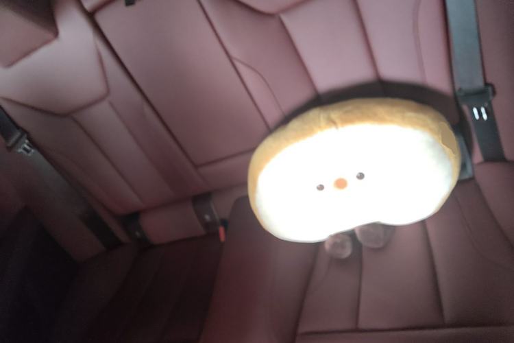 Used BMW 4 Series 2023 425i M Sport Night Edition Left Rear Seat