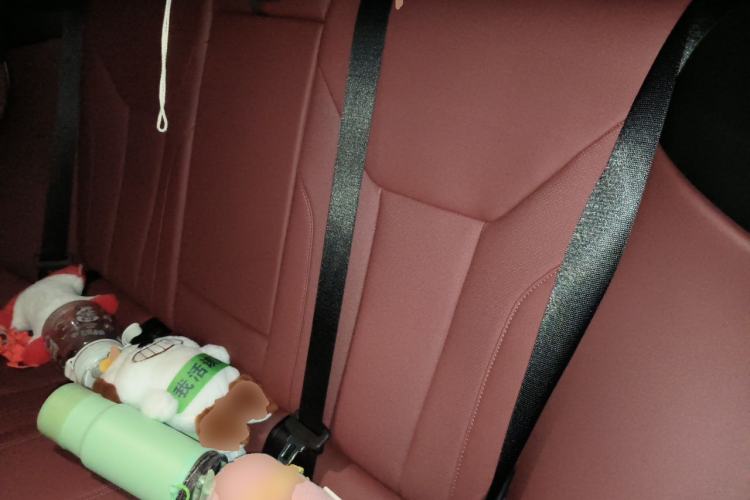 Used BMW 4 Series 2023 425i Gran Coupe M Sport Night Edition Package Left Rear Seat