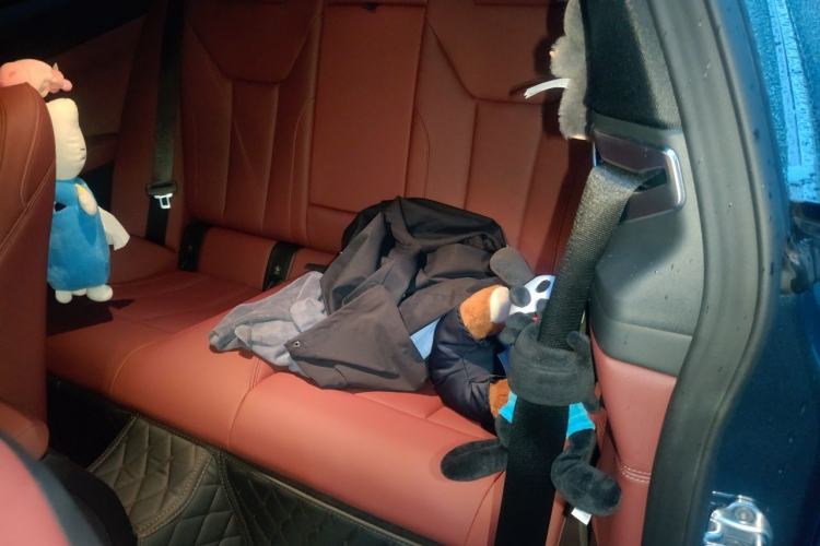 Used BMW 4 Series 2024 430i M Sport Night Edition Left Rear Seat
