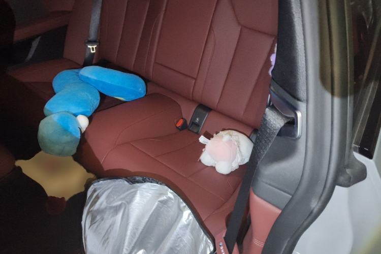 Used BMW 4 Series 2024 430i M Sport Night Edition Left Rear Seat