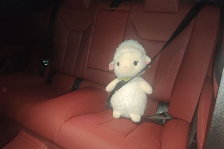 Used BMW 4 Series 2024 430i M Sport Night Edition Left Rear Seat