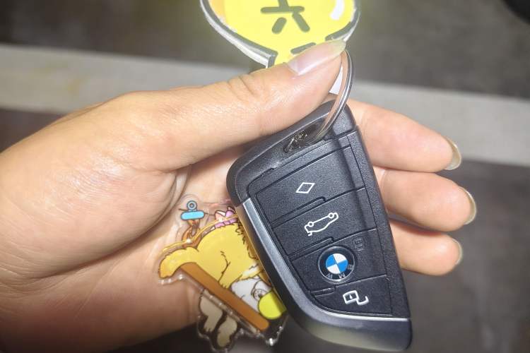 Used BMW 4 Series 2024 430i M Sport Night Edition Vehicle Key
