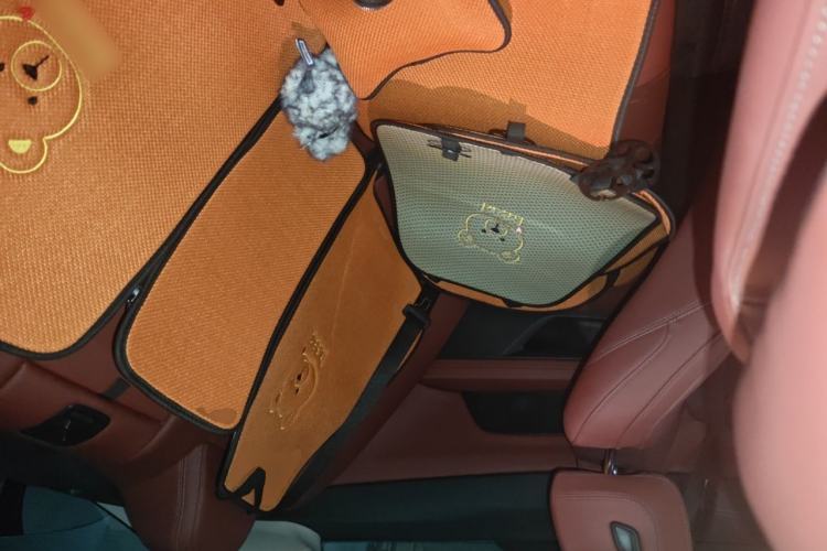 Used BMW 4 Series 2024 425i M Sport Package Left Rear Seat