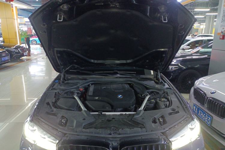 Used BMW 5 Series 2021 530Li Leading Model M Sport Package Engine Bay