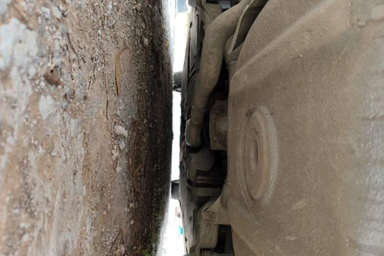 Used BMW 5 Series 2009 523Li Luxury Model Chassis Rear