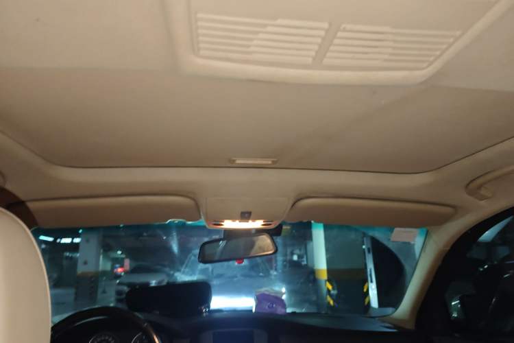 Used BMW 5 Series 2009 520Li Leading Model Headliner