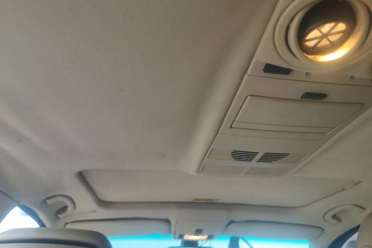 Used BMW 5 Series 2010 520Li Leading Model Headliner