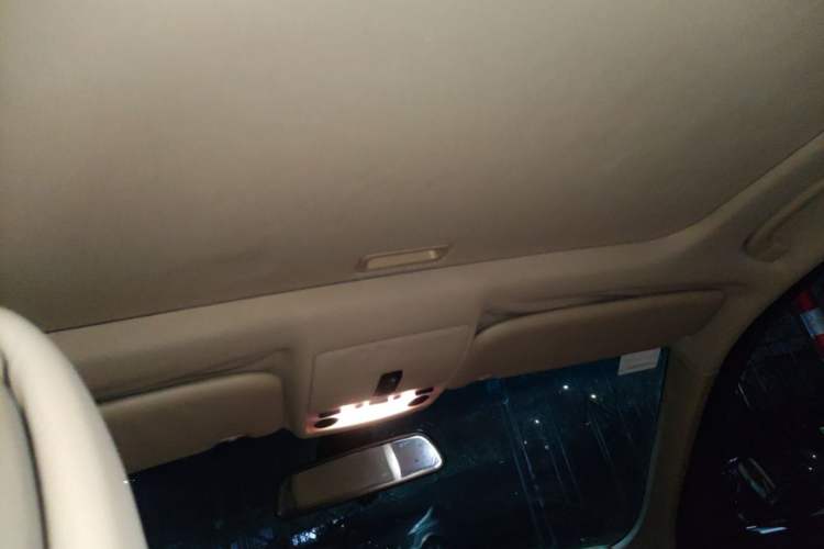 Used BMW 5 Series 2010 520Li Luxury Model Headliner