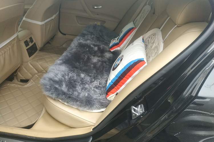 Used BMW 5 Series 2010 520Li Leading Model Left Rear Seat