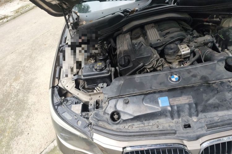 Used BMW 5 Series 2010 520Li Leading Model Engine Bay Right