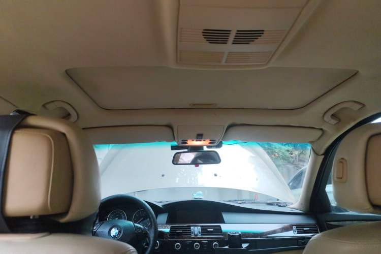 Used BMW 5 Series 2010 520Li Leading Model Headliner
