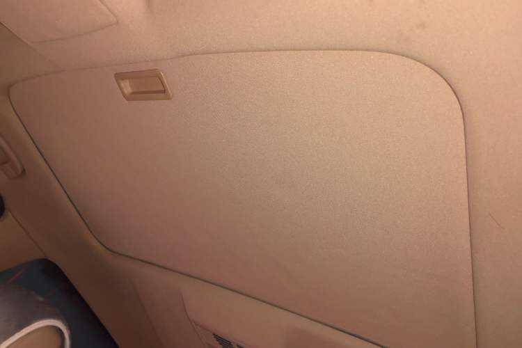Used BMW 5 Series 2010 520Li Leading Model Headliner
