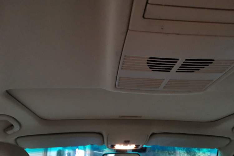 Used BMW 5 Series 2010 520Li Luxury Model Headliner