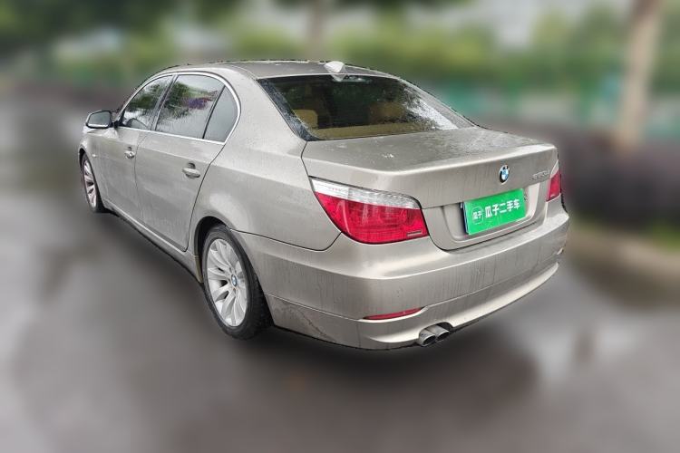 Used BMW 5 Series 2010 530Li Luxury Model Rear Left 45 Deg