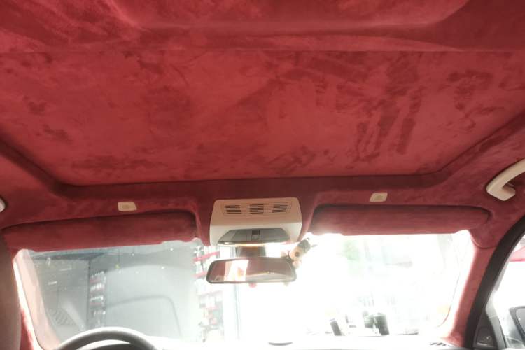 Used BMW 5 Series 2010 523Li Leading Model Headliner