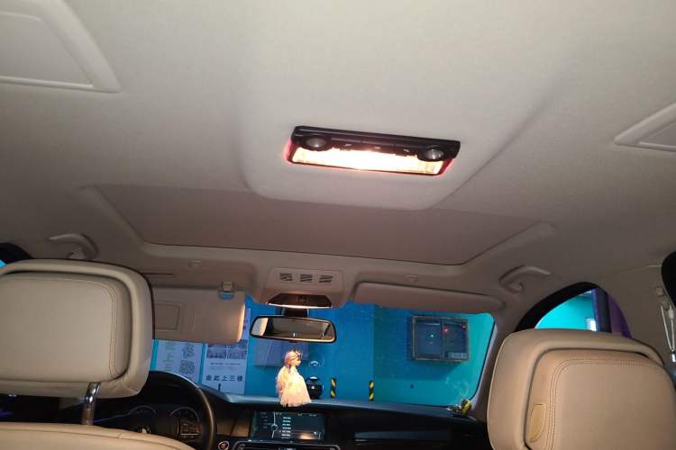 Used BMW 5 Series 2011 523Li Luxury Model Headliner