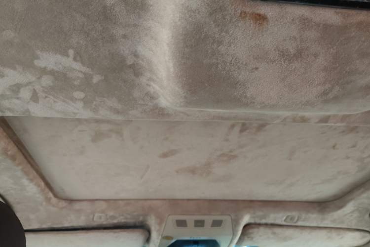 Used BMW 5 Series 2011 528Li Leading Model Headliner