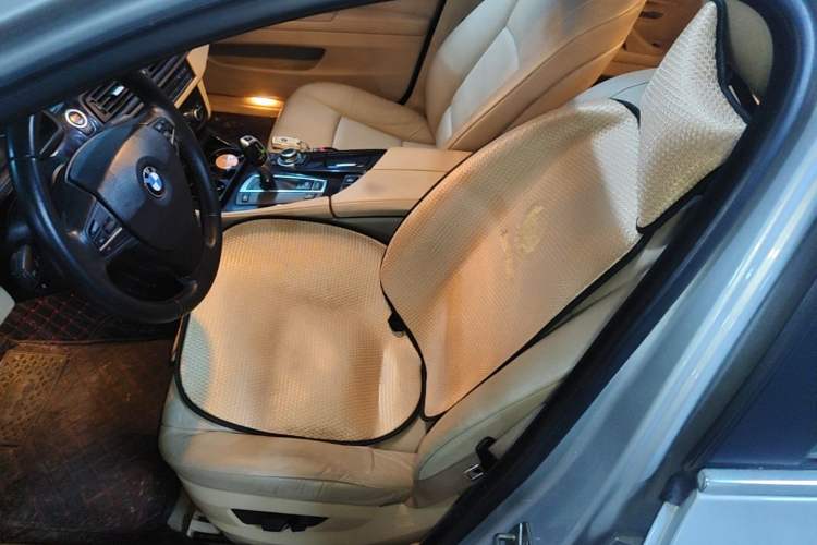 Used BMW 5 Series 2011 523Li Leading Model Left Front Seat