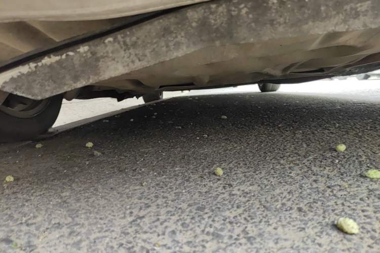 Used BMW 5 Series 2011 523Li Leading Model Chassis Front