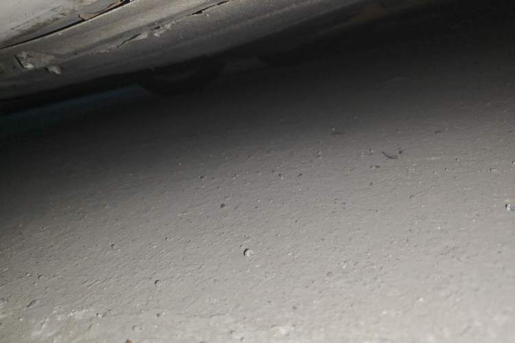 Used BMW 5 Series 2011 520Li Elegant Model Chassis Rear