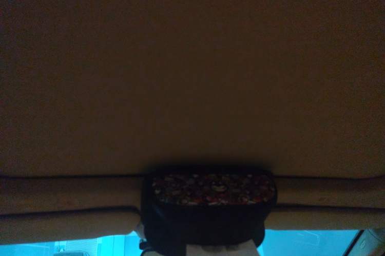 Used BMW 5 Series 2011 523Li Leading Model Headliner