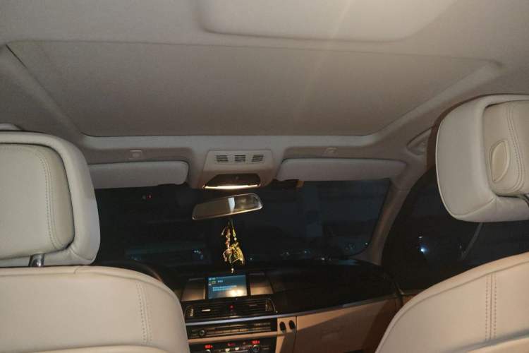 Used BMW 5 Series 2011 520Li Elegant Model Headliner