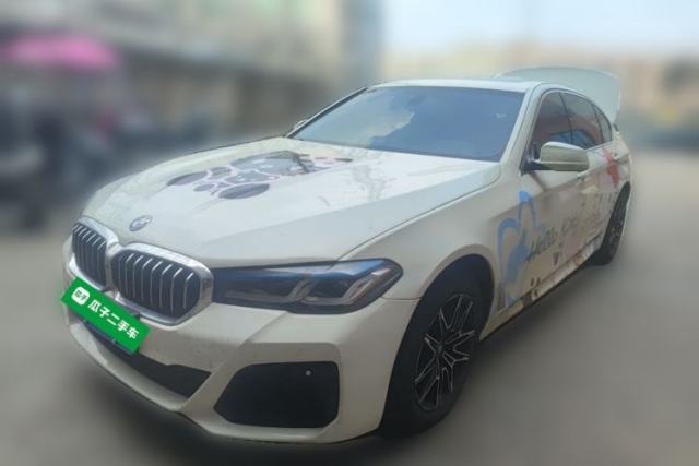 Used BMW 5 Series 2011 523Li Leading Model