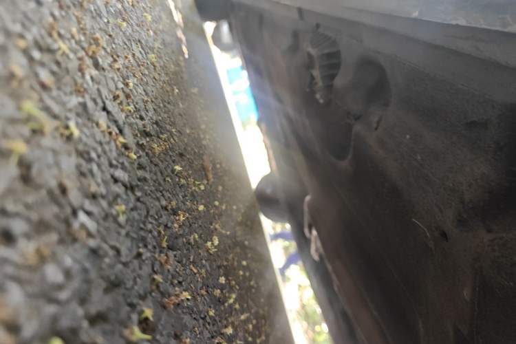 Used BMW 5 Series 2011 523Li Leading Model Chassis Front Right