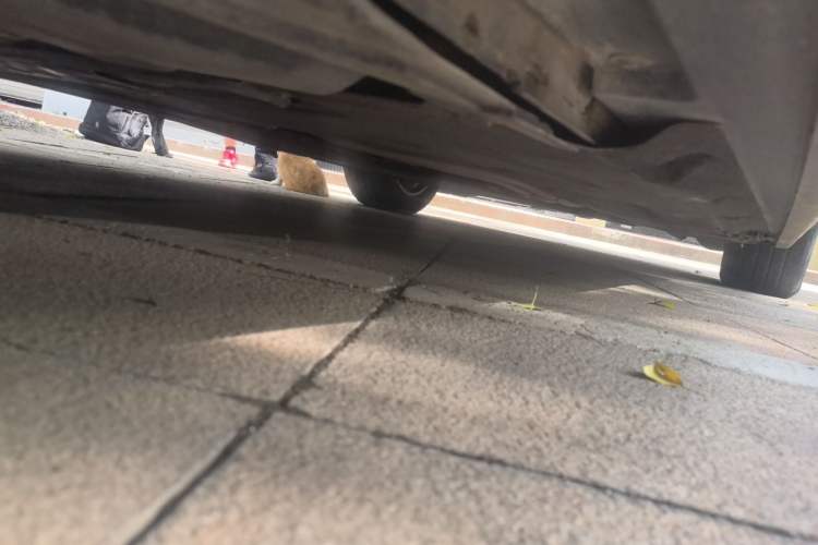 Used BMW 5 Series 2012 520Li Elegant Edition Chassis Rear Right
