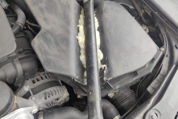 Used BMW 5 Series 2012 530Li Luxury Model Engine Bay Left