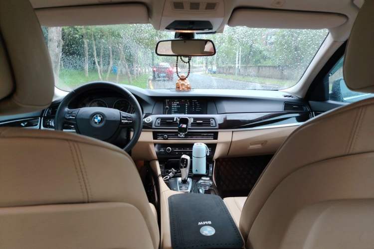Used BMW 5 Series 2012 523Li Luxury Model Headliner