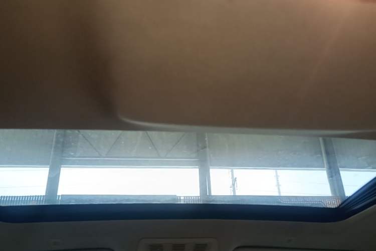 Used BMW 5 Series 2012 530Li Leading Model Headliner