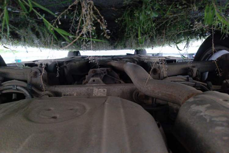 Used BMW 5 Series 2012 523Li Luxury Model Chassis Rear