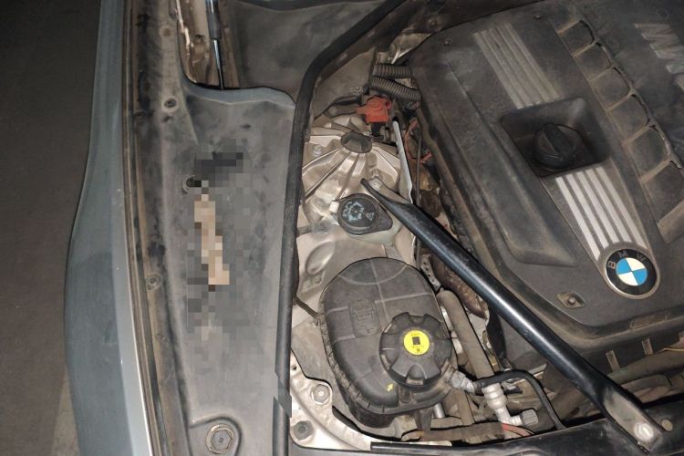 Used BMW 5 Series 2012 523Li Leading Model Engine Bay Right