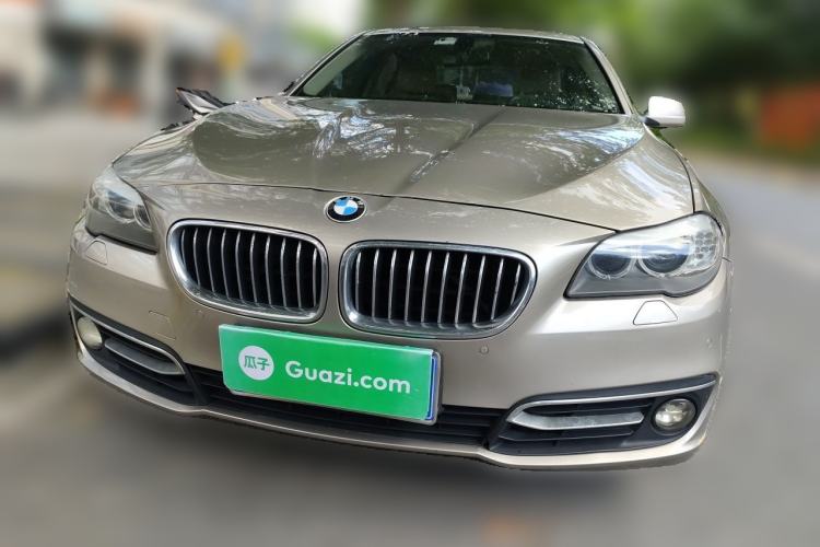 Used BMW 5 Series 2012 523Li Luxury Model Front