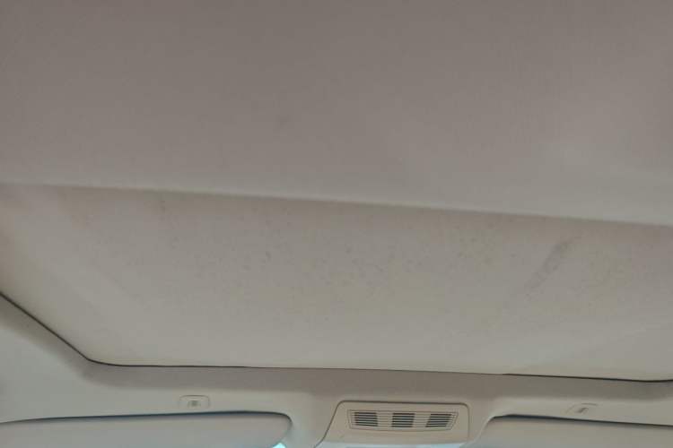 Used BMW 5 Series 2012 530Li Leading Model Headliner
