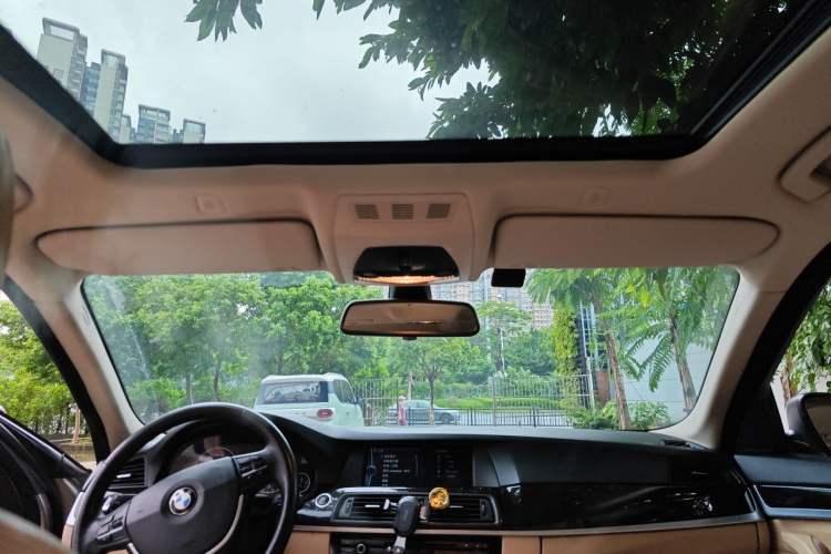 Used BMW 5 Series 2012 523Li Leading Model Headliner