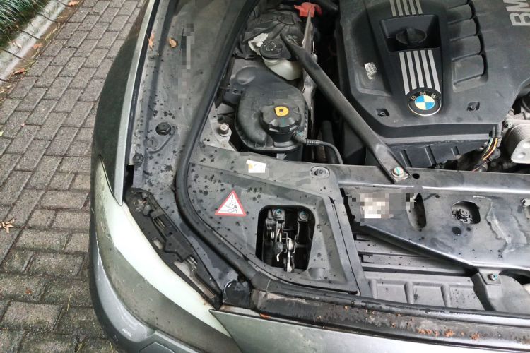 Used BMW 5 Series 2012 530i Sport Touring Engine Bay Right