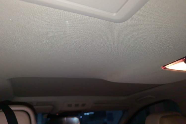 Used BMW 5 Series 2012 523Li Luxury Model Headliner