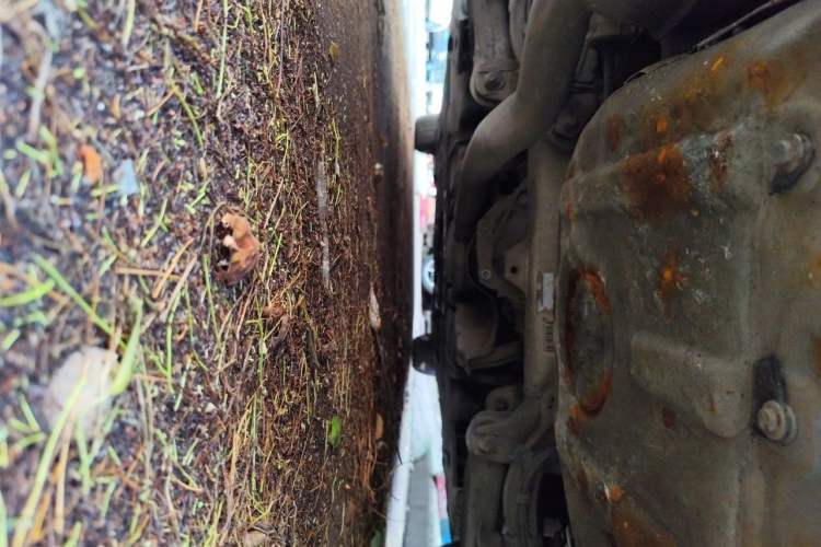 Used BMW 5 Series 2012 523Li Leading Model Chassis Rear