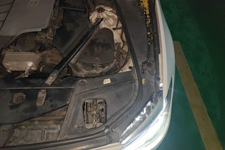 Used BMW 5 Series 2012 523Li Leading Model Engine Bay Left