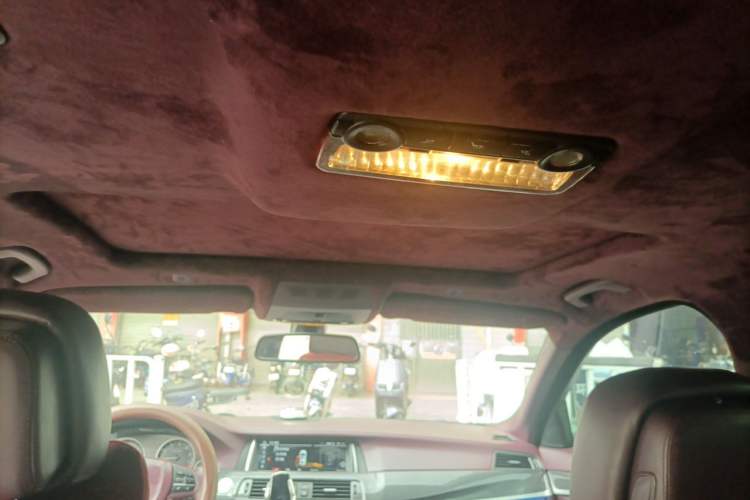 Used BMW 5 Series 2012 523Li Luxury Model Headliner