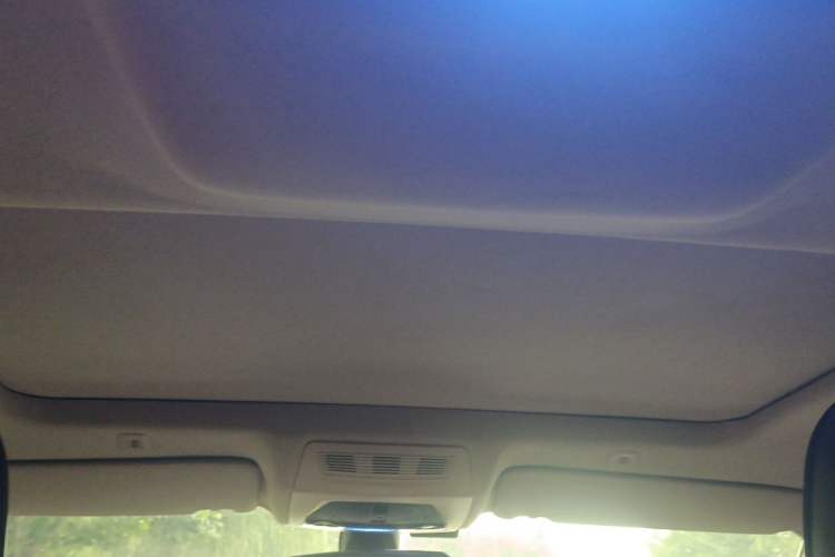 Used BMW 5 Series 2012 530Li Leading Model Headliner