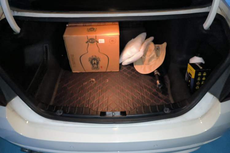 Used BMW 5 Series 2012 530Li Luxury Model Trunk